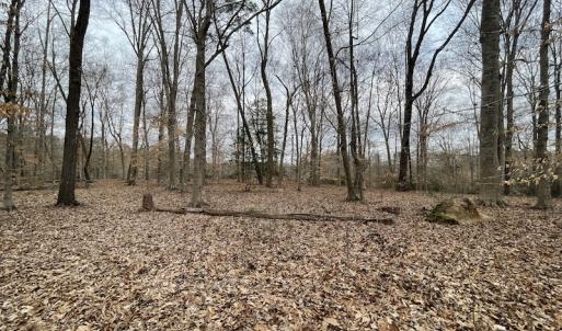 Photo #35 of Off Murphy Mill Road, Windsor, VA 48.8 acres
