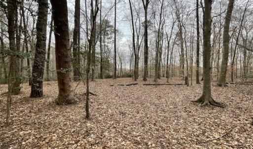 Photo #40 of Off Murphy Mill Road, Windsor, VA 48.8 acres