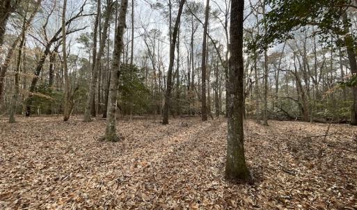 Photo #41 of Off Murphy Mill Road, Windsor, VA 48.8 acres