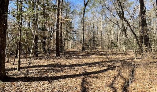 Photo #43 of Off Murphy Mill Road, Windsor, VA 48.8 acres