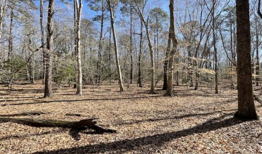 Photo #46 of Off Murphy Mill Road, Windsor, VA 48.8 acres