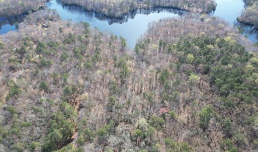 Photo #8 of Off Murphy Mill Road, Windsor, VA 48.8 acres