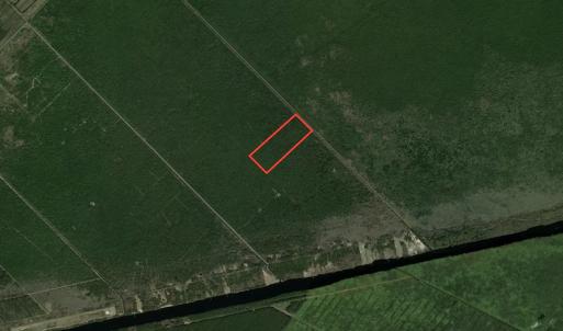 Photo #13 of SOLD property in Off New Lake Road, Belhaven, NC 59.1 acres
