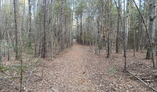 Photo #2 of SOLD property in Off Mabe Road, Star, NC 30.3 acres