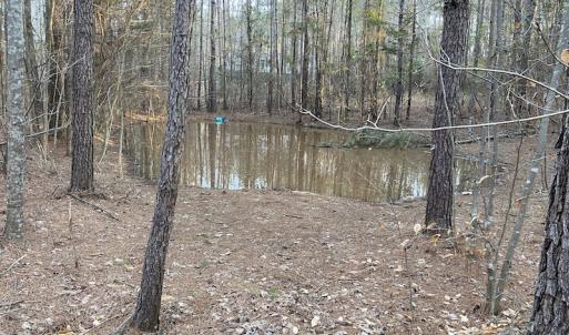 Photo #3 of SOLD property in Off Mabe Road, Star, NC 30.3 acres