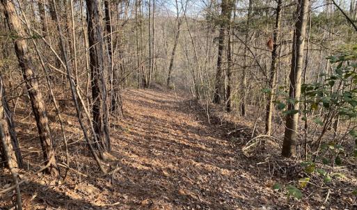 Photo #4 of SOLD property in Off Mabe Road, Star, NC 30.3 acres