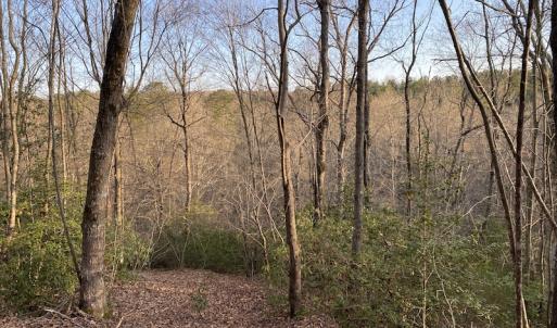 Photo #5 of SOLD property in Off Mabe Road, Star, NC 30.3 acres
