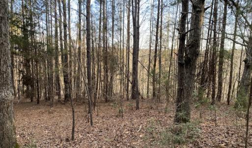 Photo #6 of SOLD property in Off Mabe Road, Star, NC 30.3 acres