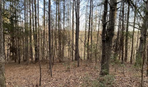 Photo #7 of SOLD property in Off Mabe Road, Star, NC 30.3 acres
