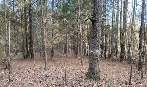 Photo #8 of SOLD property in Off Mabe Road, Star, NC 30.3 acres