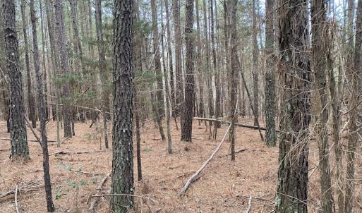 Photo #9 of SOLD property in Off Mabe Road, Star, NC 30.3 acres