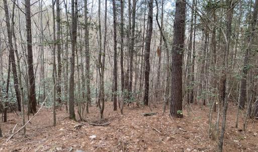 Photo #11 of SOLD property in Off Mabe Road, Star, NC 30.3 acres