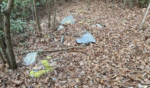 Photo #13 of SOLD property in Off Mabe Road, Star, NC 30.3 acres