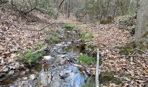 Photo #14 of SOLD property in Off Mabe Road, Star, NC 30.3 acres