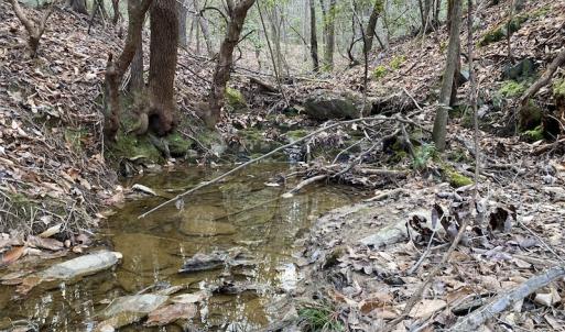 Photo #16 of SOLD property in Off Mabe Road, Star, NC 30.3 acres