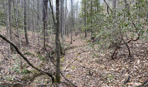 Photo #17 of SOLD property in Off Mabe Road, Star, NC 30.3 acres