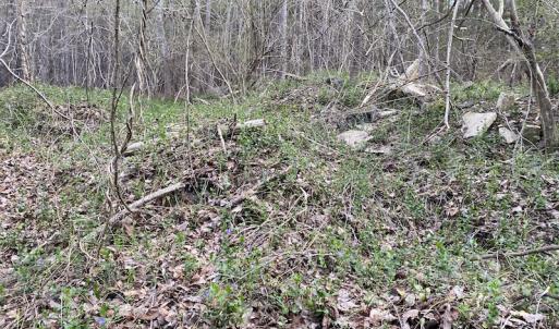 Photo #18 of SOLD property in Off Mabe Road, Star, NC 30.3 acres
