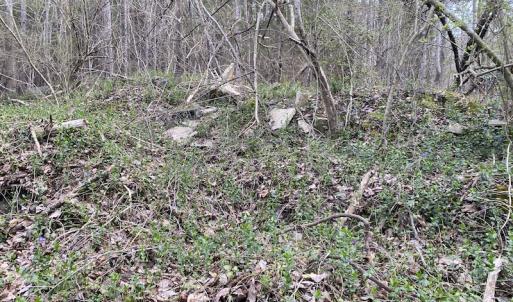 Photo #19 of SOLD property in Off Mabe Road, Star, NC 30.3 acres