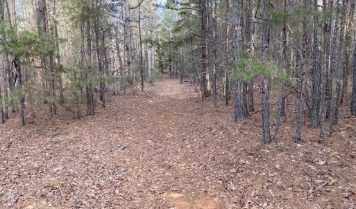 Photo #22 of SOLD property in Off Mabe Road, Star, NC 30.3 acres