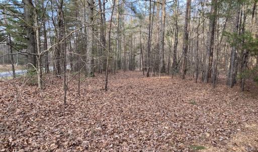 Photo #23 of SOLD property in Off Mabe Road, Star, NC 30.3 acres