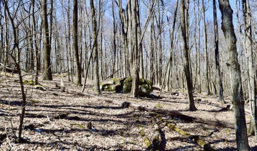 Photo #87 of SOLD property in 5117 Hot Springs Road, Hot Springs, VA 569.6 acres
