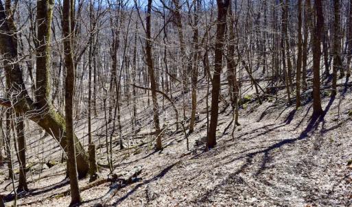 Photo #89 of SOLD property in 5117 Hot Springs Road, Hot Springs, VA 569.6 acres