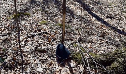 Photo #90 of SOLD property in 5117 Hot Springs Road, Hot Springs, VA 569.6 acres