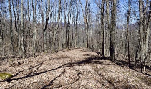 Photo #91 of SOLD property in 5117 Hot Springs Road, Hot Springs, VA 569.6 acres