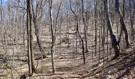Photo #92 of SOLD property in 5117 Hot Springs Road, Hot Springs, VA 569.6 acres