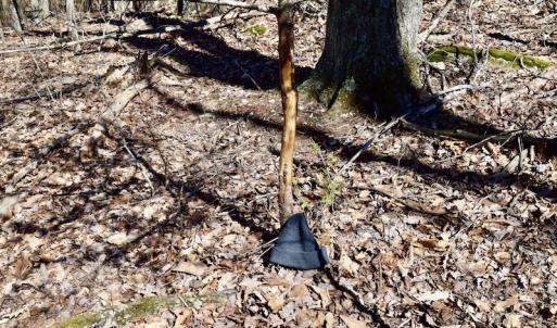 Photo #97 of SOLD property in 5117 Hot Springs Road, Hot Springs, VA 569.6 acres
