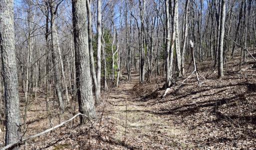 Photo #98 of SOLD property in 5117 Hot Springs Road, Hot Springs, VA 569.6 acres