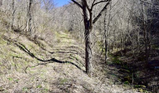 Photo #112 of SOLD property in 5117 Hot Springs Road, Hot Springs, VA 569.6 acres