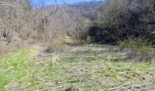 Photo #113 of SOLD property in 5117 Hot Springs Road, Hot Springs, VA 569.6 acres