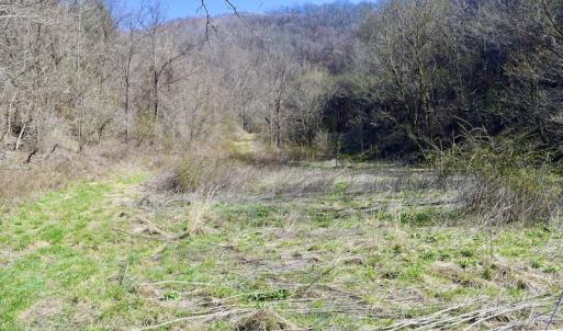Photo #113 of SOLD property in 5117 Hot Springs Road, Hot Springs, VA 569.6 acres