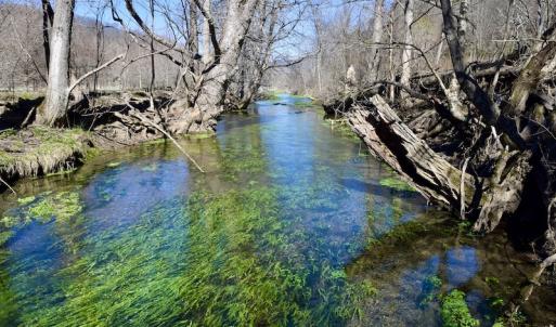 Photo #114 of SOLD property in 5117 Hot Springs Road, Hot Springs, VA 569.6 acres