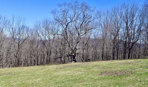 Photo #68 of SOLD property in 5117 Hot Springs Road, Hot Springs, VA 569.6 acres