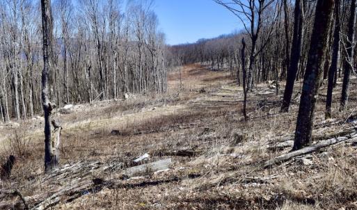 Photo #78 of SOLD property in 5117 Hot Springs Road, Hot Springs, VA 569.6 acres
