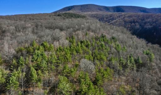 Photo #82 of SOLD property in 5117 Hot Springs Road, Hot Springs, VA 569.6 acres