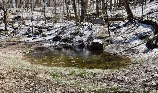 Photo #84 of SOLD property in 5117 Hot Springs Road, Hot Springs, VA 569.6 acres