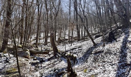 Photo #85 of SOLD property in 5117 Hot Springs Road, Hot Springs, VA 569.6 acres