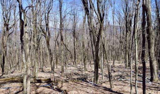 Photo #86 of SOLD property in 5117 Hot Springs Road, Hot Springs, VA 569.6 acres