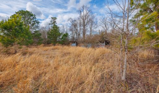 Photo #19 of SOLD property in Off Dewberry Lane, Roseboro, NC 4.3 acres