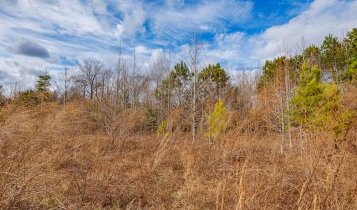 Photo #20 of SOLD property in Off Dewberry Lane, Roseboro, NC 4.3 acres