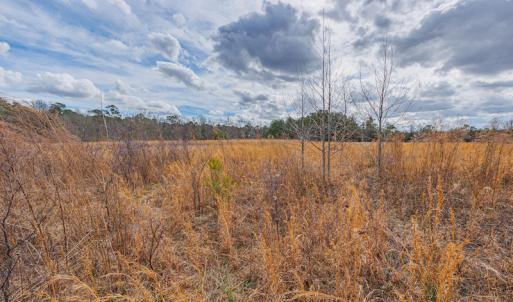 Photo #21 of SOLD property in Off Dewberry Lane, Roseboro, NC 4.3 acres