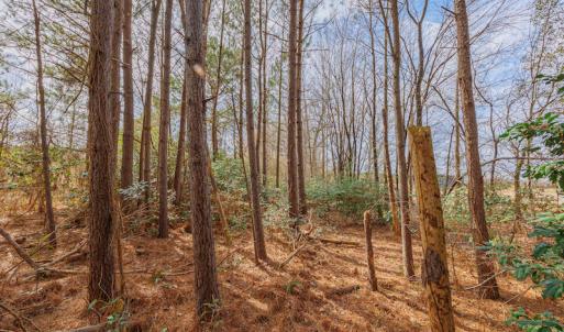 Photo #22 of SOLD property in Off Dewberry Lane, Roseboro, NC 4.3 acres