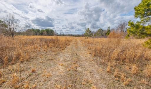 Photo #23 of SOLD property in Off Dewberry Lane, Roseboro, NC 4.3 acres