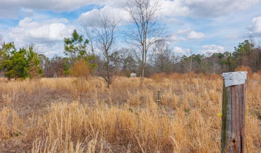 Photo #26 of SOLD property in Off Dewberry Lane, Roseboro, NC 4.3 acres