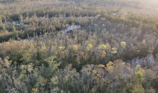 Photo #2 of SOLD property in Off Launch Drive, Bolivia, NC 32.2 acres