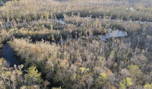 Photo #4 of SOLD property in Off Launch Drive, Bolivia, NC 32.2 acres