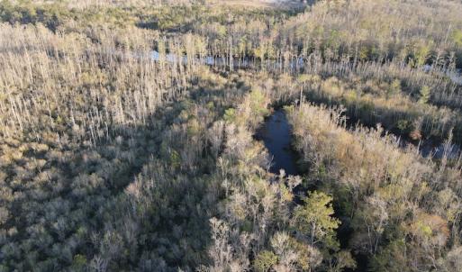 Photo #5 of SOLD property in Off Launch Drive, Bolivia, NC 32.2 acres
